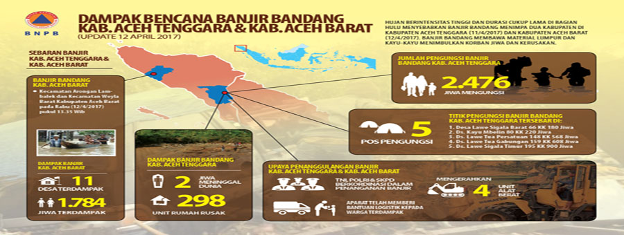 Infografis Bencana Aceh Tenggara