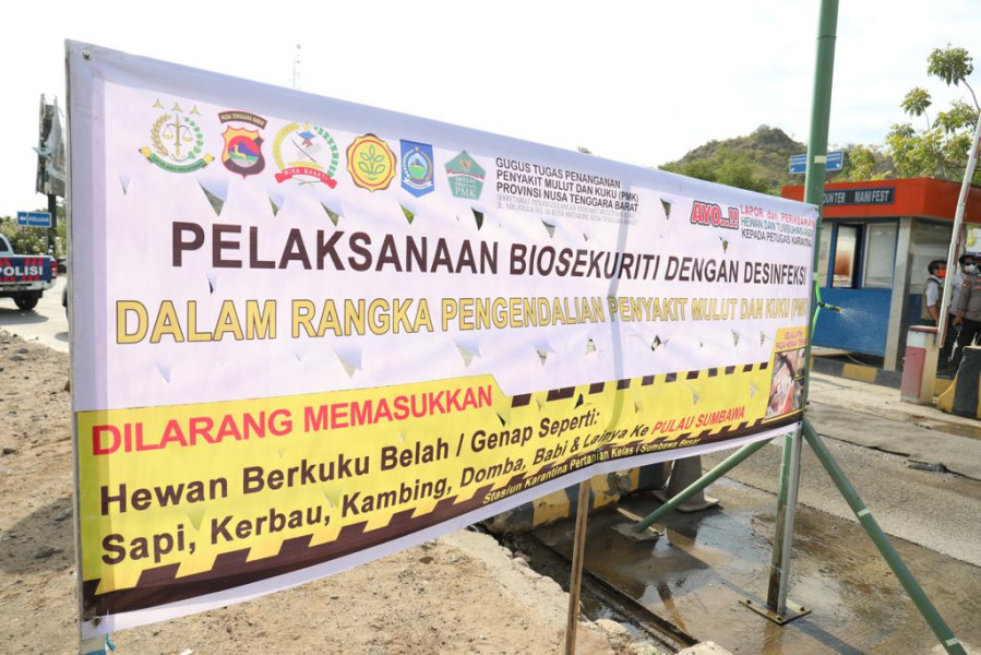 Pelayanan biosecurity menggunakan cairan disinfektan di Pelabuhan Poto Tano, Sumbawa, NTB, Kamis (25/8).