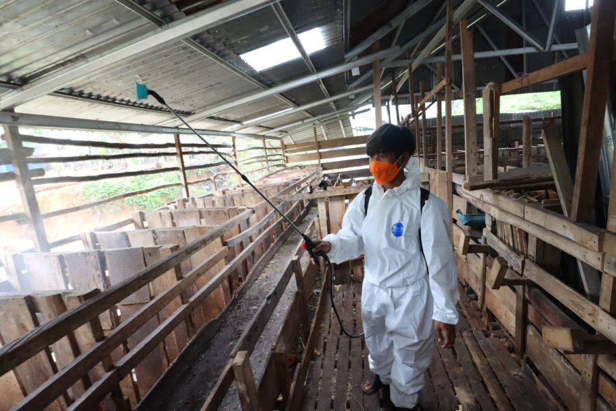 Petugas sedang melakukan penyemprotan disinfektan sebagai langkah penerapan biosecurity di peternakan kambing Lintas Dingin, Kota Bengkulu, Kamis (6/10).