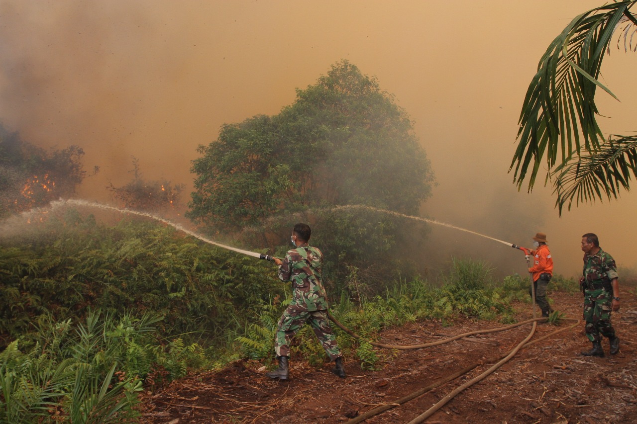 Kebakaran Hutan dan Lahan di Riau