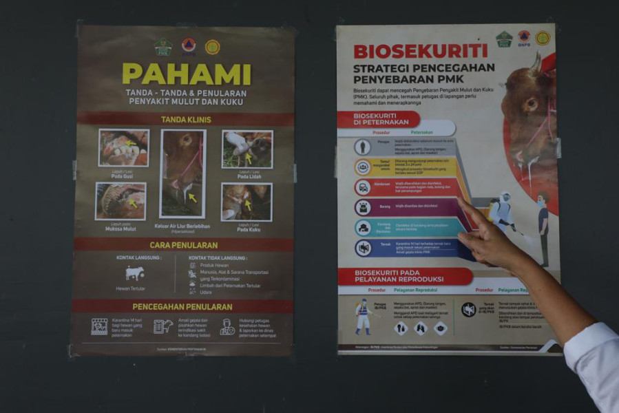 Poster berisi informasi seputar penyakit PMK dari Satgas Penanganan PMK terpasang di RPH BHU Niaga.