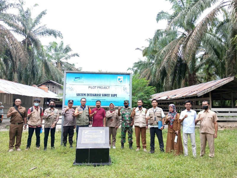Tinjauan lapangan Satgas PMK ke lokasi kandang Sistem Integrasi Sawit Sapi di Kabupaten Pelalawan, Provinsi Riau pada Selasa (18/10)