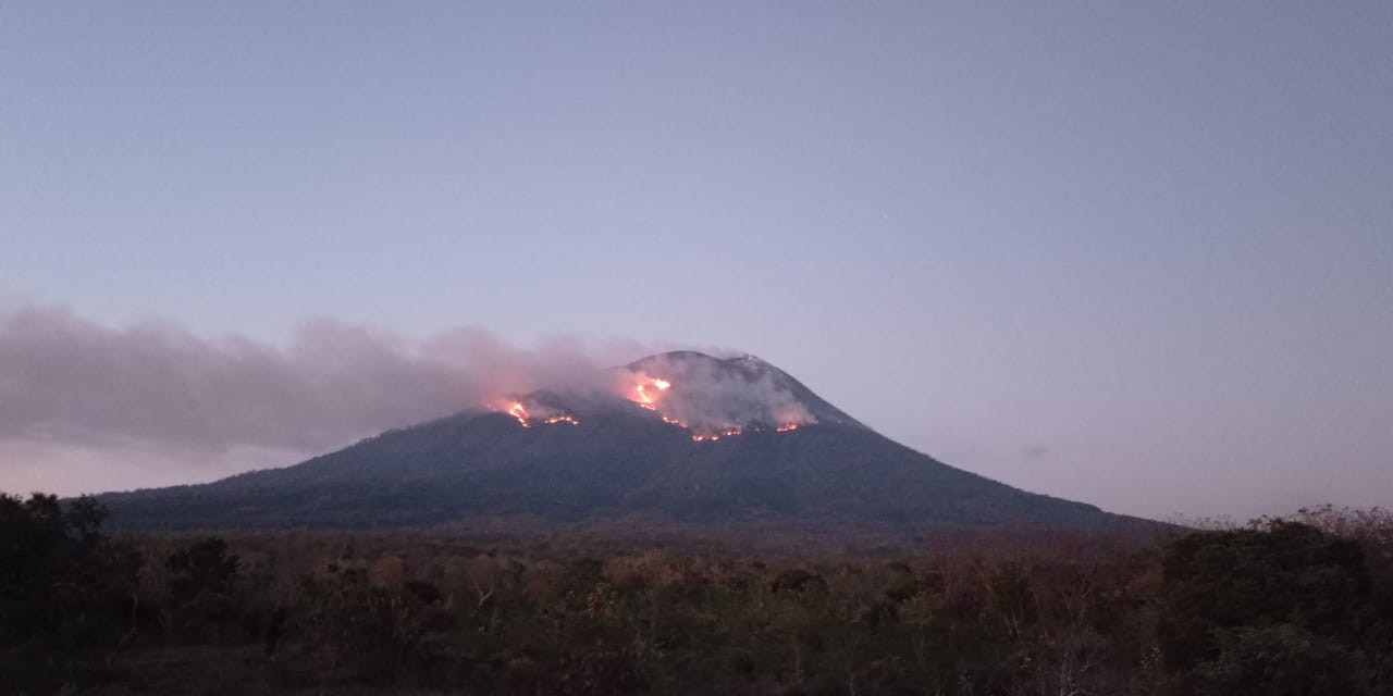 Lontaran Lava Pijar Erupsi Gunung Ile Lewotolok Sebabkan Kebakaran Hutan dan Lahan