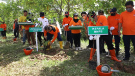 Pengukuhan Forum PRB dan Tanam Pohon di Kalimantan Timur