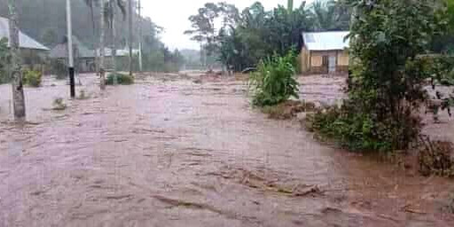 Banjir Sebabkan 7 Ha Sawah Warga Terendam di Alor Selatan, Kini Mulai Berangsur Surut