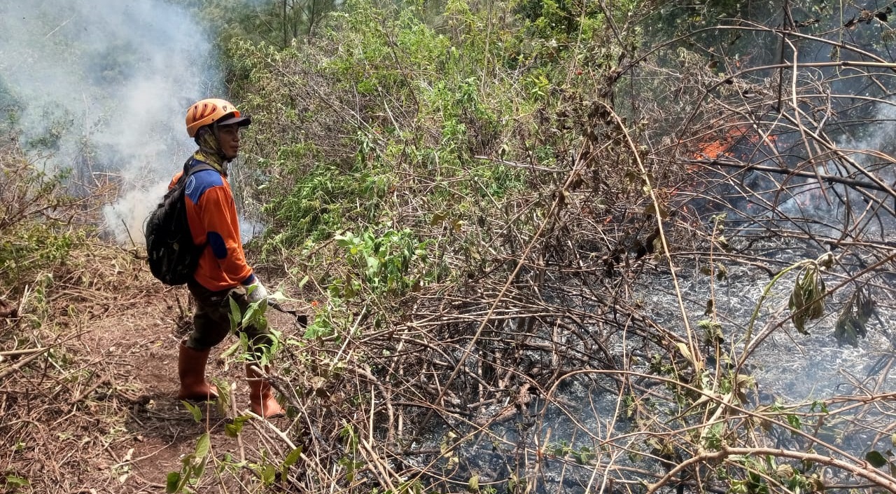 Tim Gabungan Masih Berupaya Padamkan Api di Lereng Gunung Panderman Kota Batu